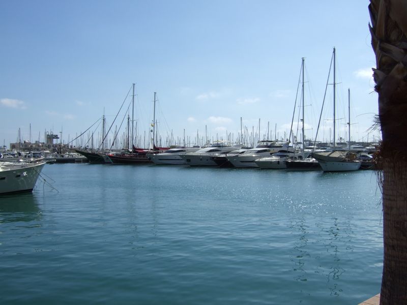 summercamp06 - 116